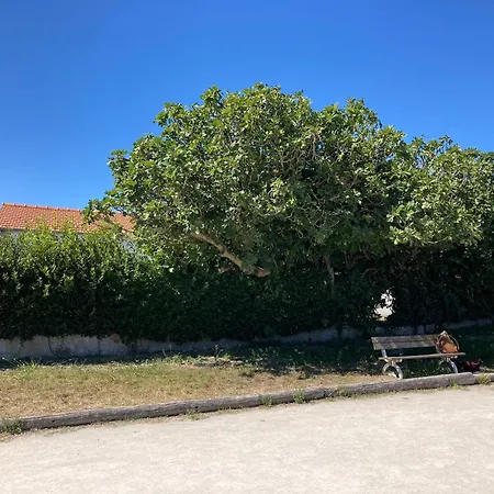 Les Lauriers N°3 - Soleil Et Repos